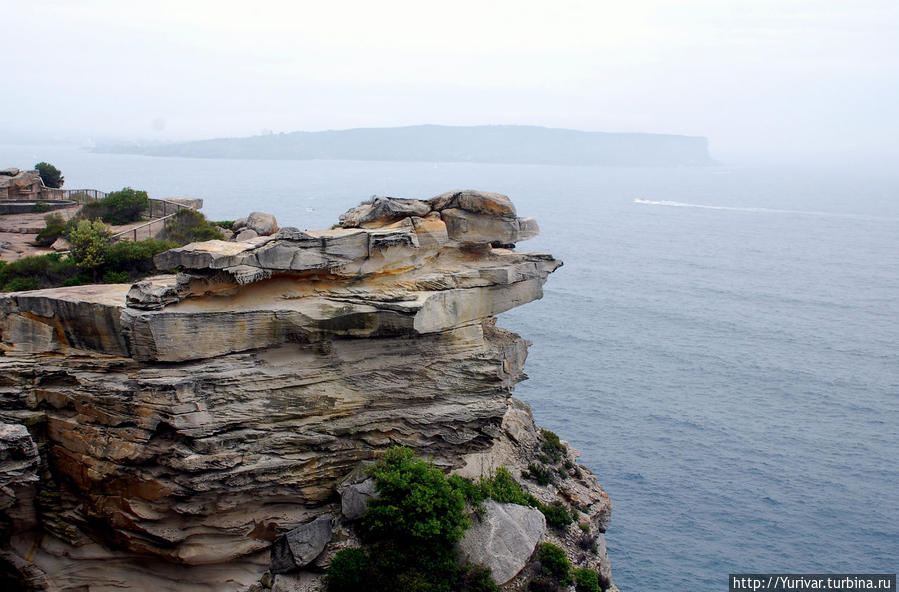 На мысу Watsons Bay