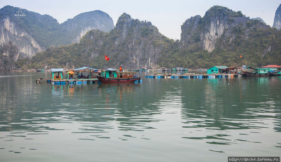 По земле, по воде, по воздуху. Джунгли Вьетнама и Лаоса 2015