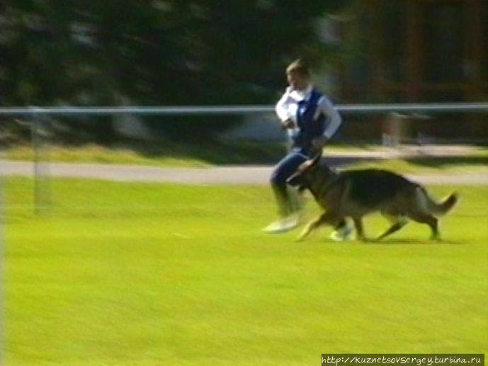 Первый день Зигера в Ульме. Проверка поведения. Германия