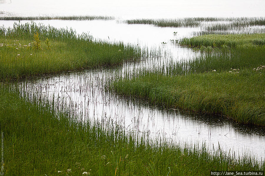 Охотничья заимка. Вид со смотровой башни в сторону Лекшмозера.