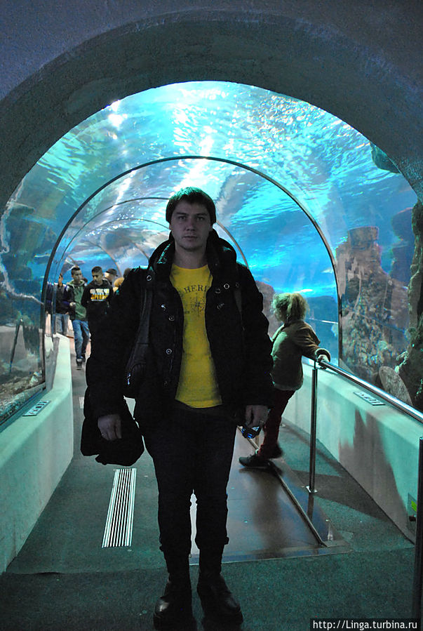 У входа в 80-метровый тоннель Океанаиума Барселона, Испания