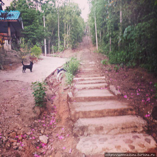 Лучшее Лето