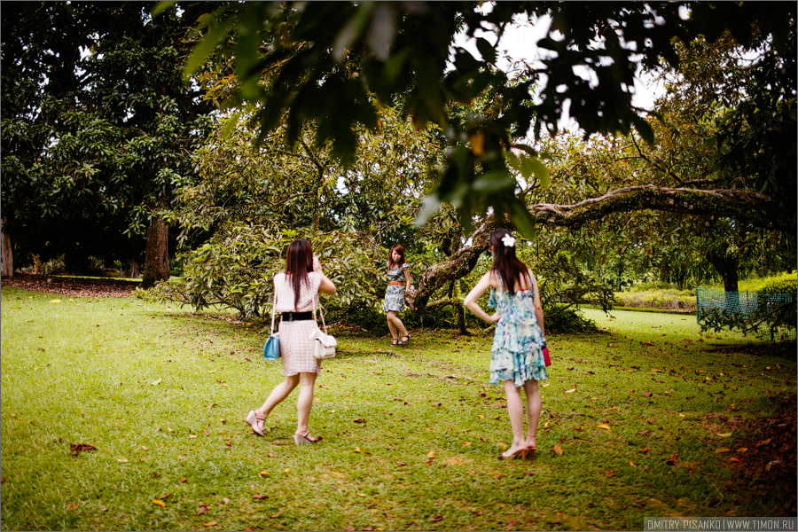 Девушки фигачат луки на фоне куста, очень понравилось как девушка сразу две сумки одела :) Сингапур (город-государство)