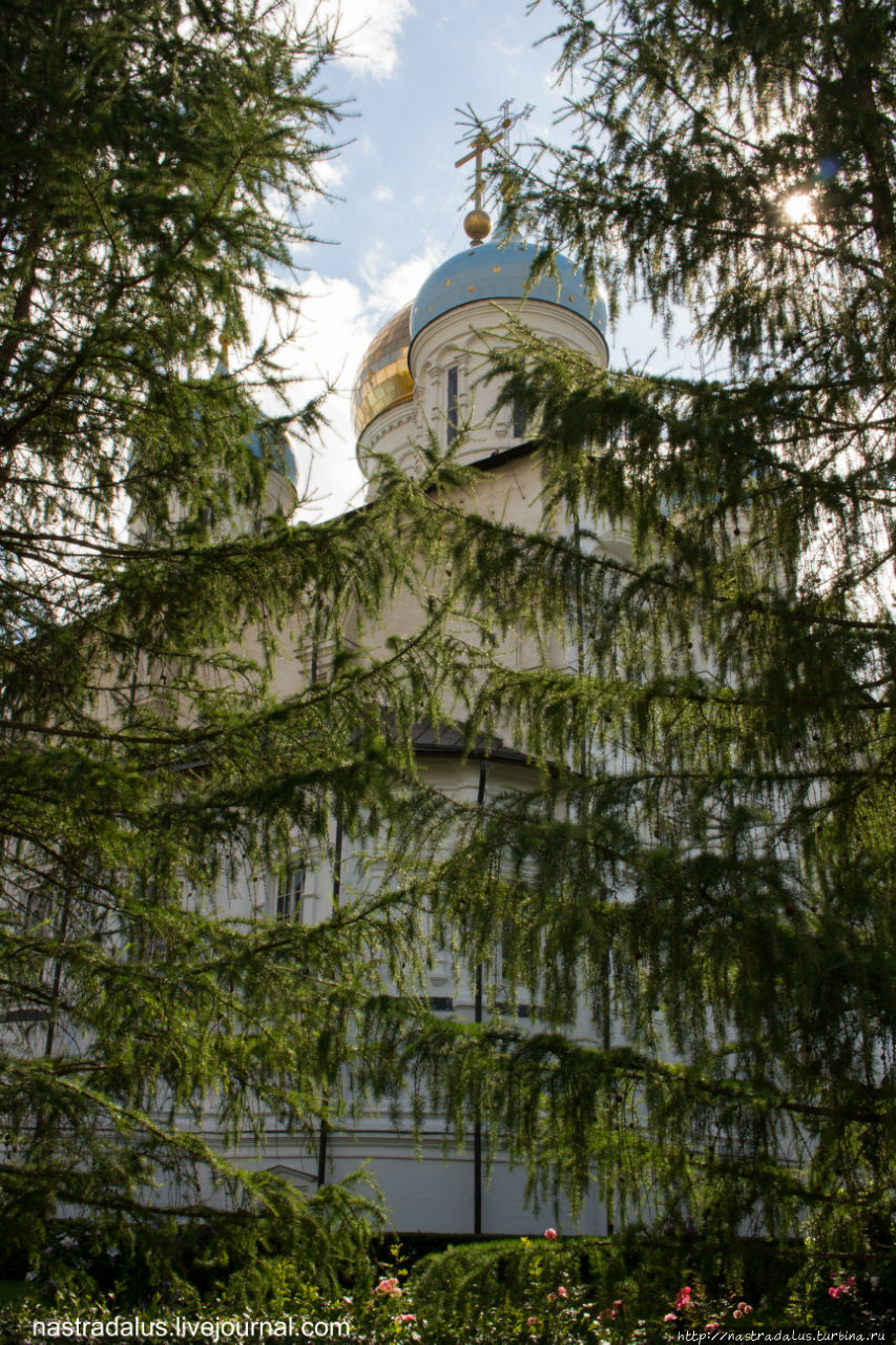 Новоспасский монастырь и окрестности Москва, Россия