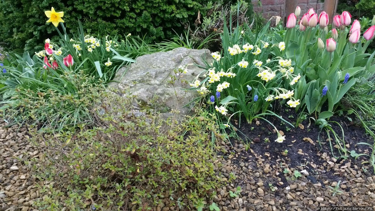 Весна пришла и я ей рада Херлен, Нидерланды