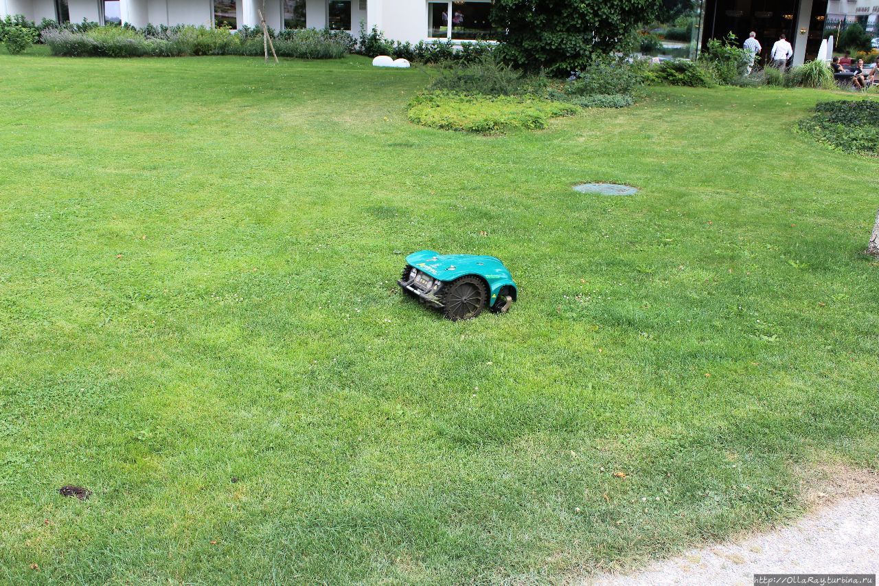 Газоны в Курпарке идеальн