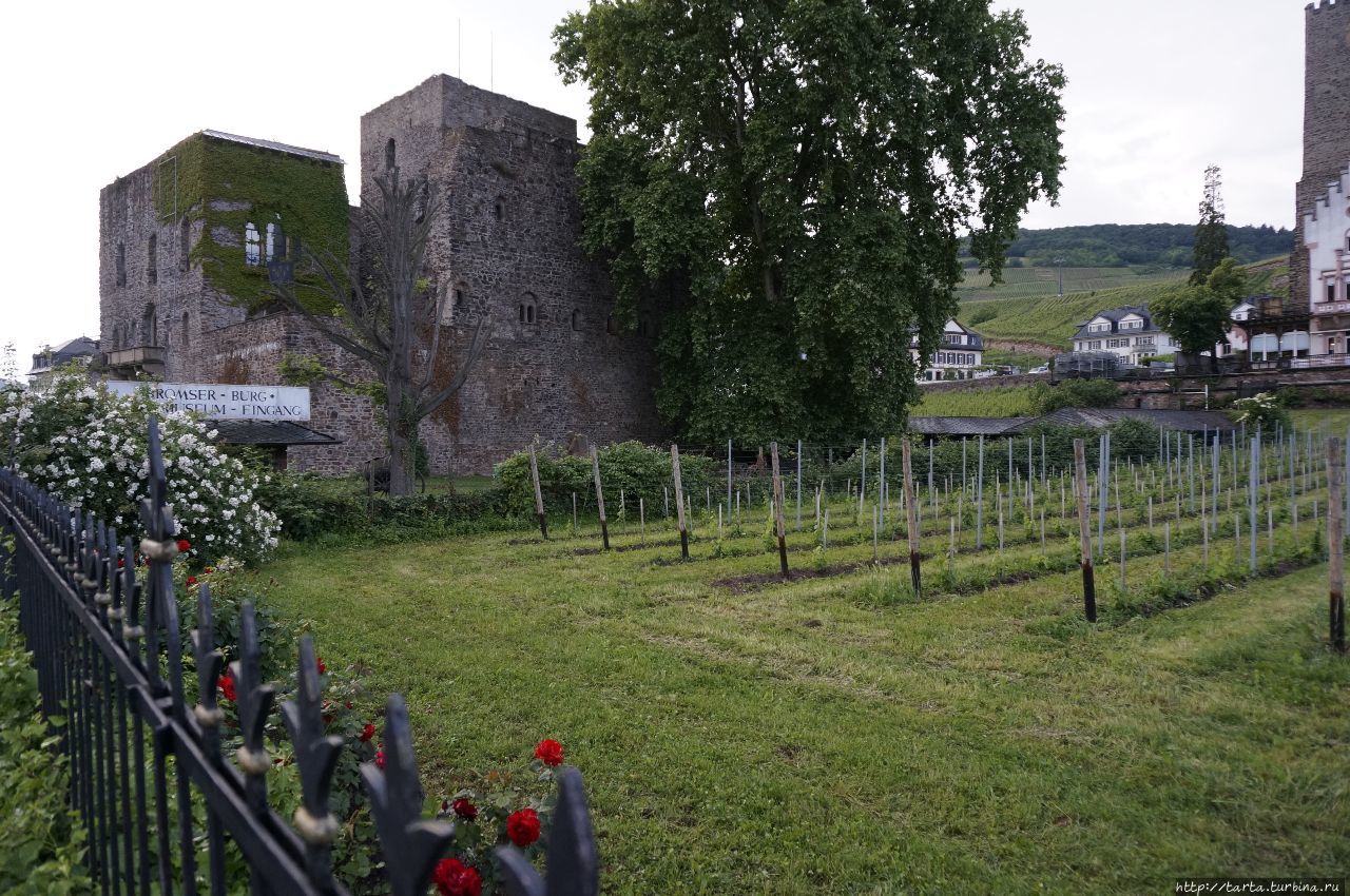 Сказочный Рюдесхайм, вино и замки Рюдесхайм-на-Рейне, Германия