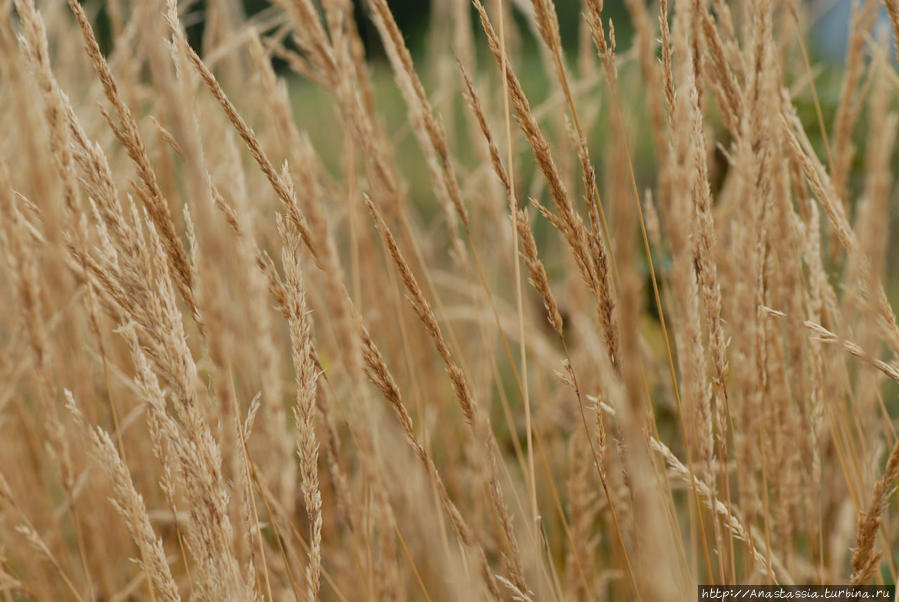 Жизнь в Небесах Толмин, Словения