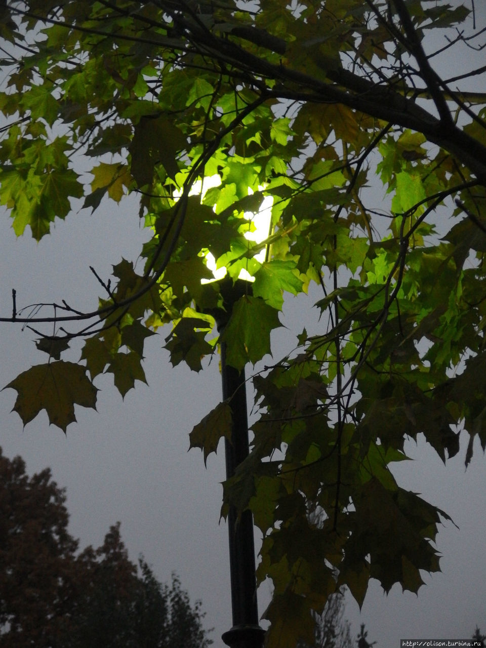 Осень в любимом городе Москва, Россия