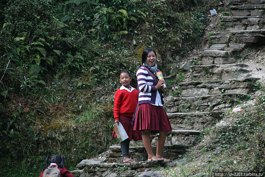 Дети Непала Непал