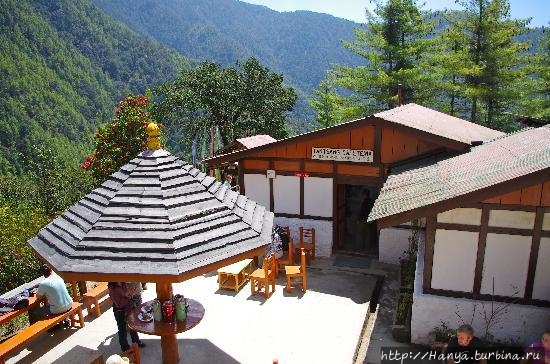 Из интернета