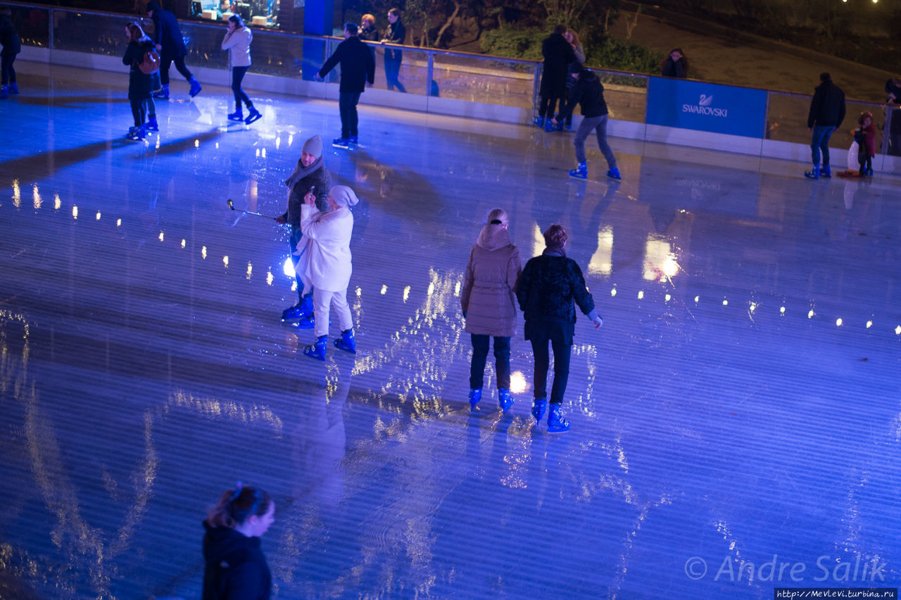 Natural History Museum Ice Rink