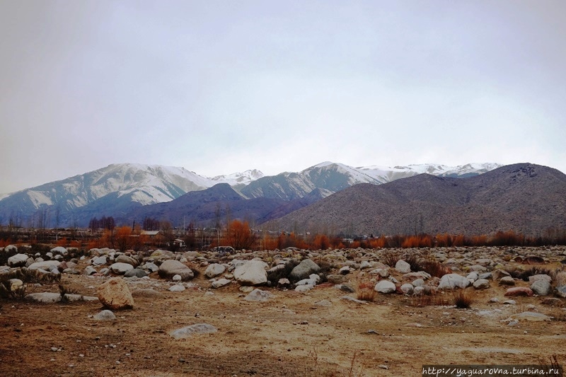 Петроглифы Саймалы Таш Чолпон-Ата, Киргизия