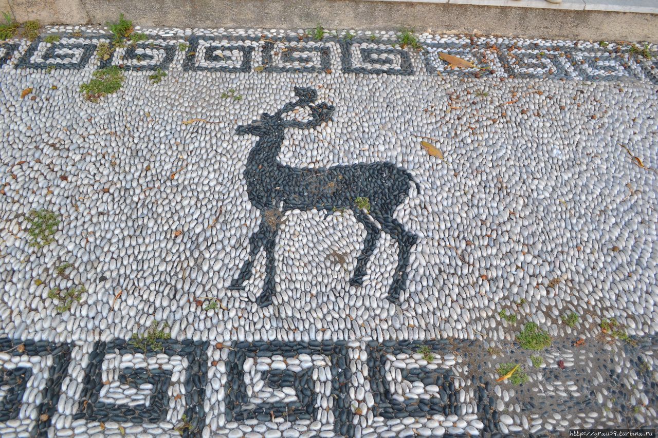Олени — символы Родоса Остров Родос, Греция
