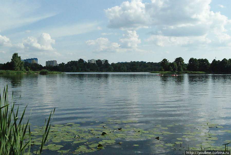 Небесная жизнь Брест, Беларусь