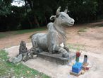 Храм Пном-Бакенг. Бычок Нанди -ездовое животное Шивы