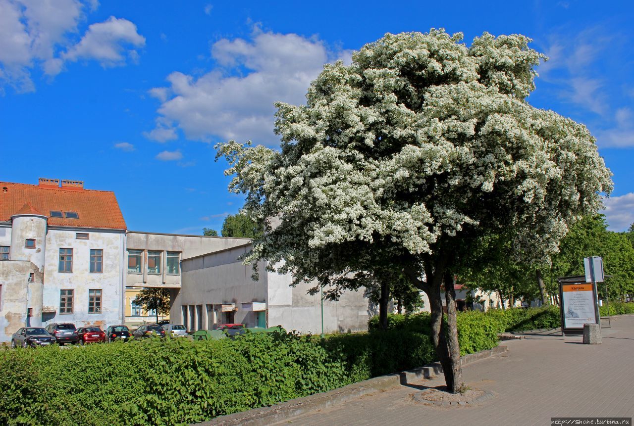 Клайпеда. Вечерняя ознакомительная прогулка по городу Клайпеда, Литва