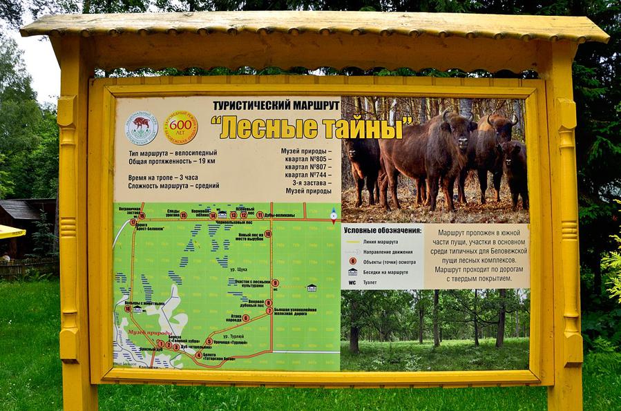Лесные тайны Беловежская Пуща Национальный Парк, Беларусь