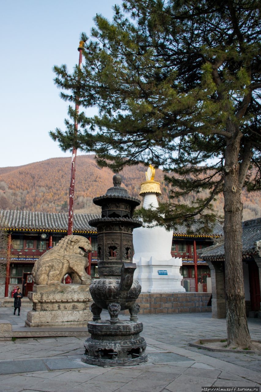 Первое знакомство с главным местом буддийского Китая