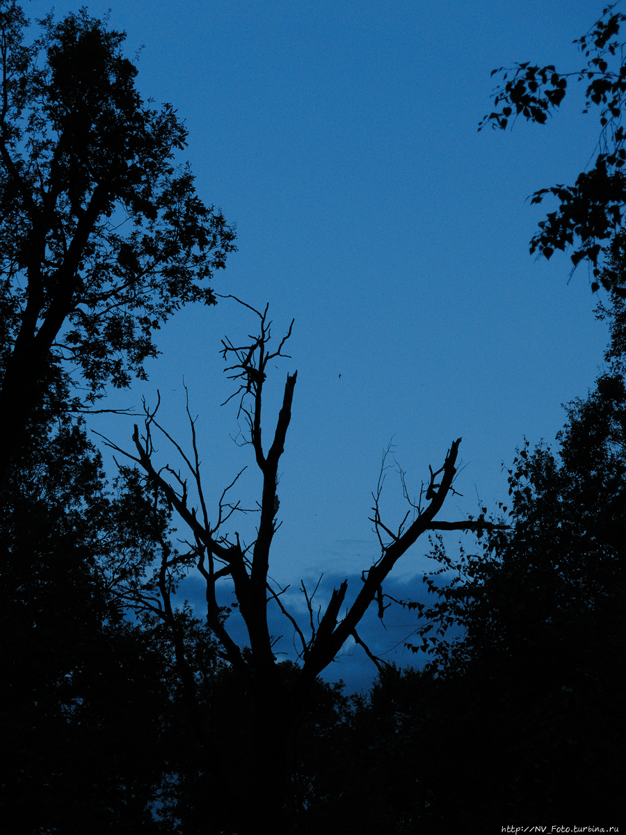 Подмосковье. Москва, Россия