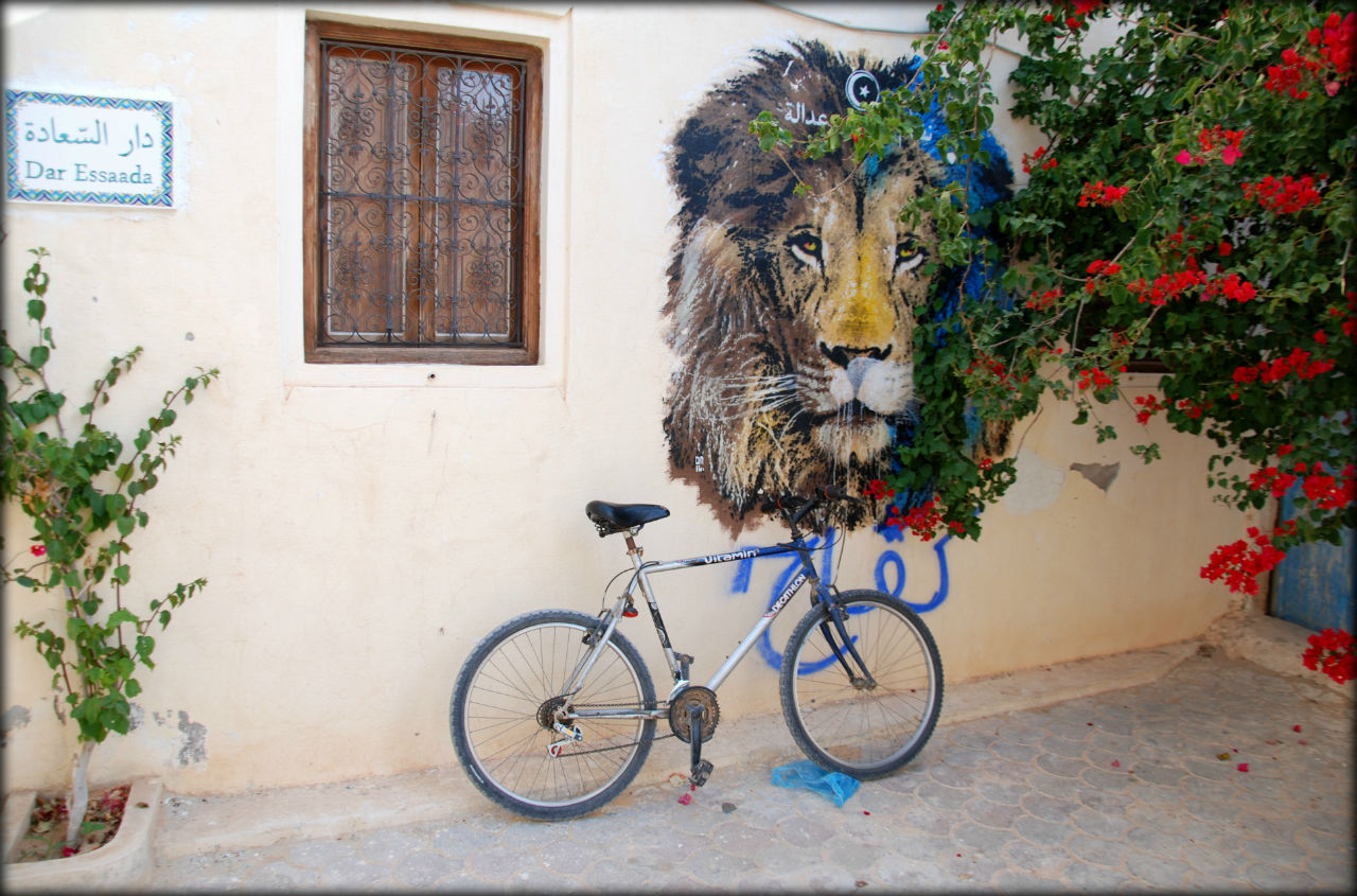Стрит-арт в Тунисе или исчезающая красота города художников Хара-Сгира-Эр-Рияд, Тунис