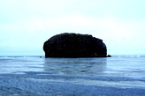 Скала — остров Заметный.   Обитель чаек.