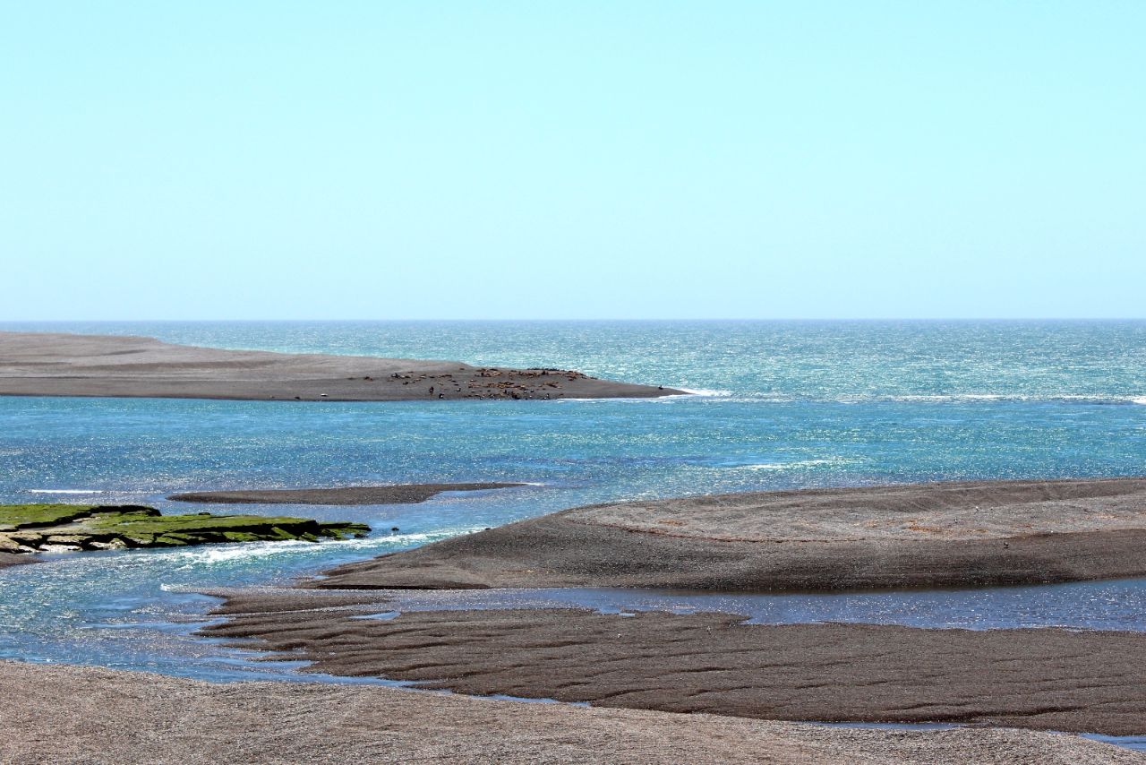 Коса Вальдес (мыс Кантор) / Caleta Valdés (Punta Cantor)