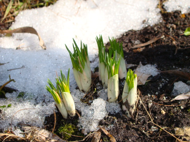 Девочки! Весна! Москва, Россия
