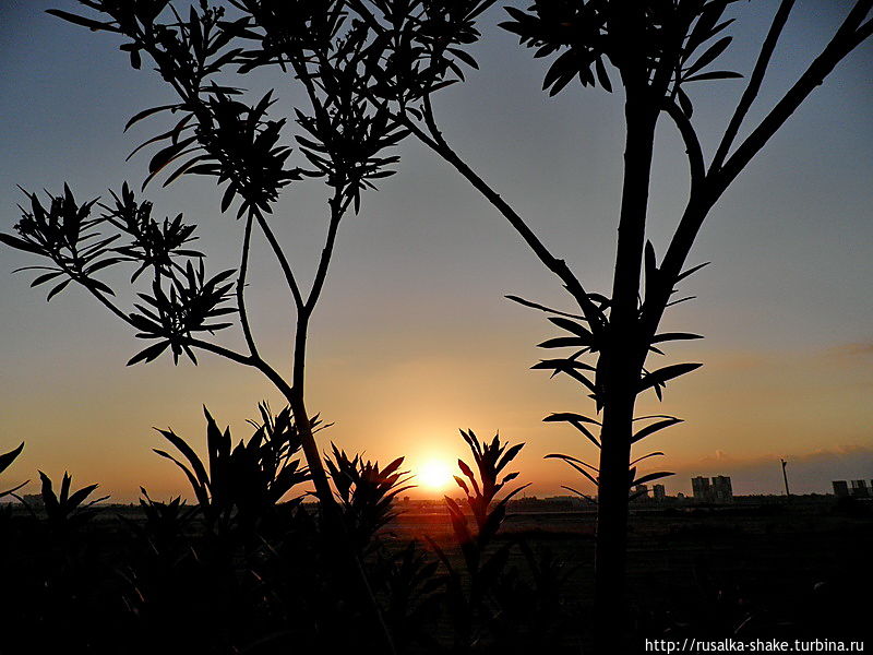 Подводя итоги... Мой 2012