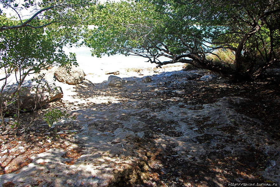 Бухта на мысе Кабо Рохо, или 