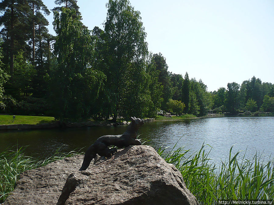 Водный парк Сапокка Котка, Финляндия