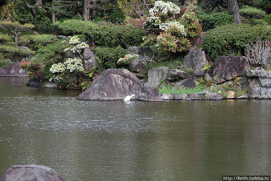 Сад в парке Теннодзи (Tennōji Park) Осака, Япония