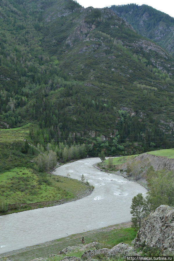 Река Чуя с вершины Калбак-Таш. Республика Алтай, Россия