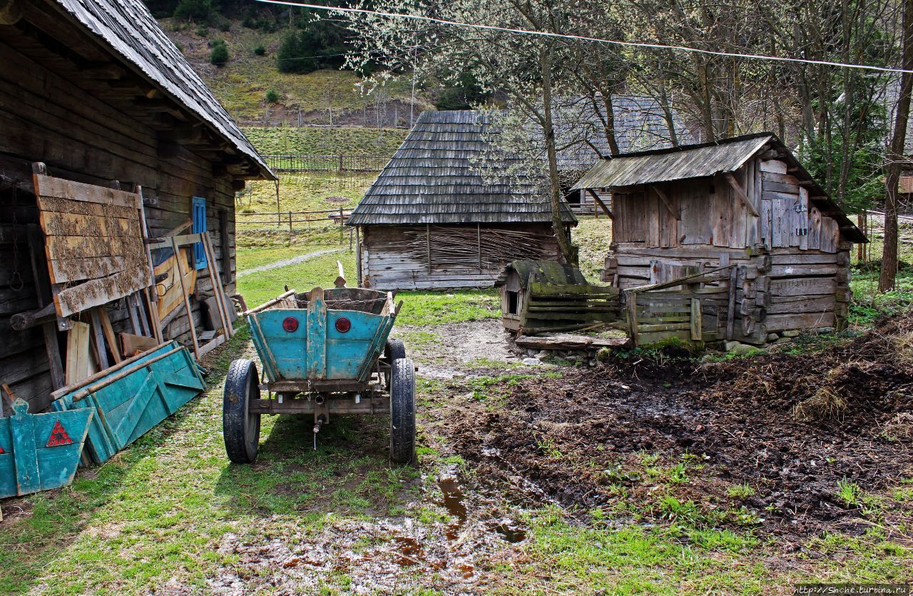 Дом сабова (швеца) Колочава, Украина