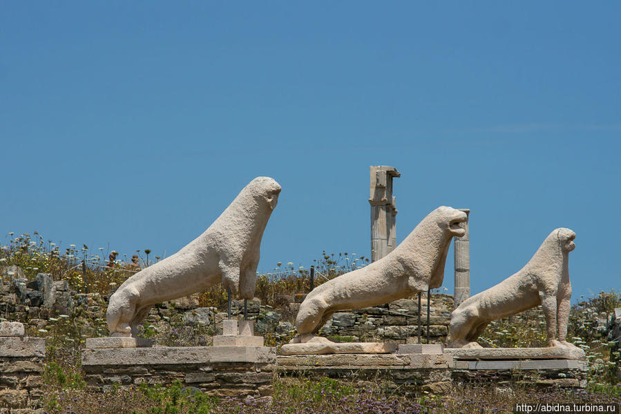 Это копии львов. Настоящие находятся в музее, тут же, на острове Остров Делос, Греция