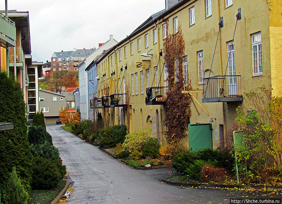 Mollenberg — район для жизни Тронхейм, Норвегия