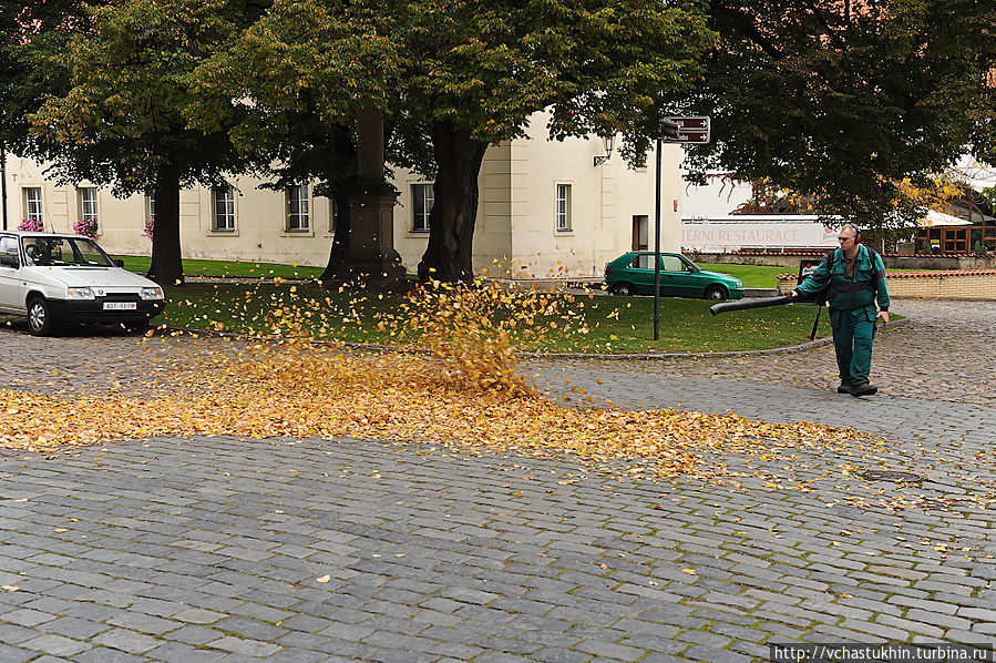 Уборщик листьев. Прага, Чехия