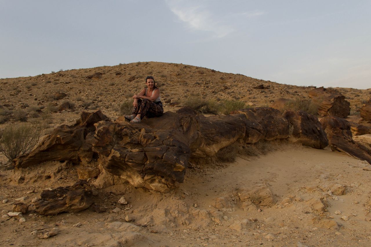 Пустыня Негев. Махтеш Гадоль. Окаменевшие деревья Негев Пустыня, Израиль