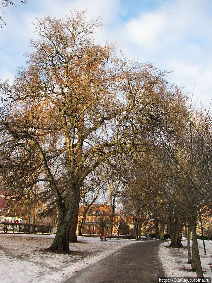 Аллея в парке Trädgårdsföreningen. Линчёпинг, Швеция