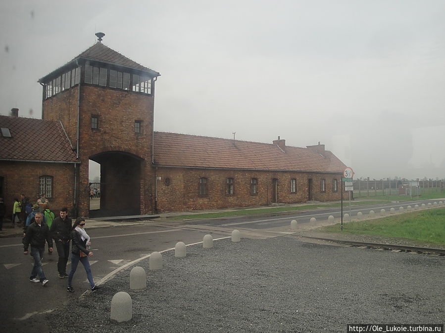 В 1996 году правительство Германии объявило 27 января, день освобождения Освенцима, официальным днём памяти жертв Холокоста Освенцим, Польша