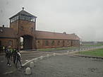 В 1996 году правительство Германии объявило 27 января, день освобождения Освенцима, официальным днём памяти жертв Холокоста