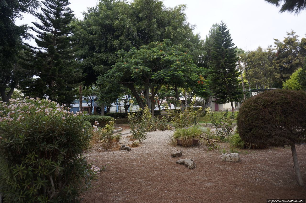 Под сенью парка в жаркий день Лимассол, Кипр