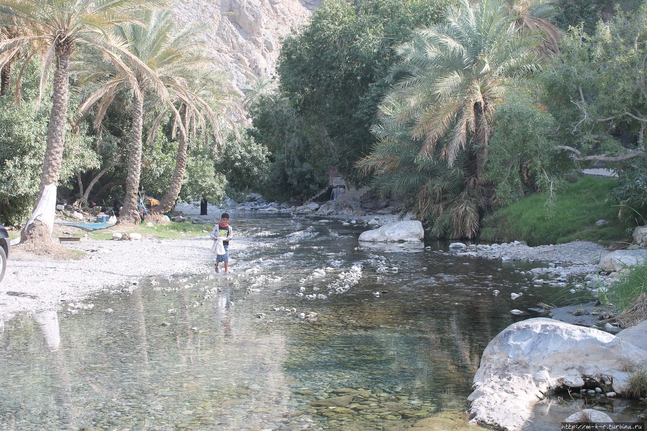 Аль-Таура Регион Маскат, Оман
