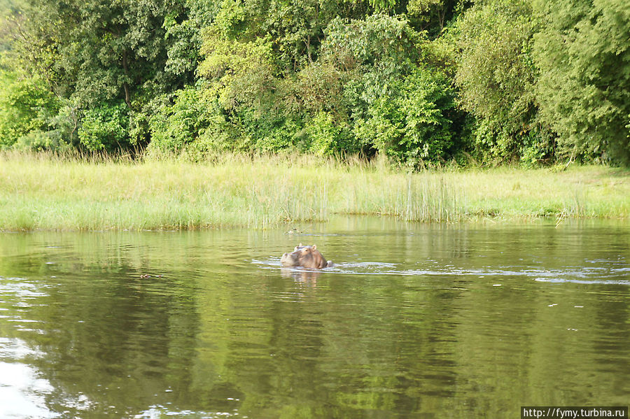 От Кампалы на север Уганда