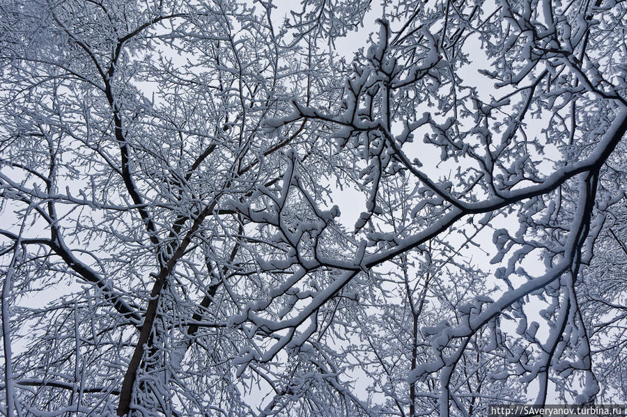 Унтер-ден-Линден Пермь, Россия