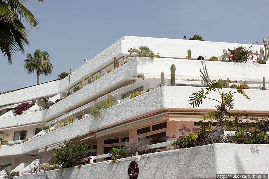 Отели города.