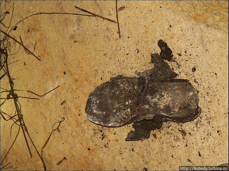 Детский ботинок. Совсем крошечный!