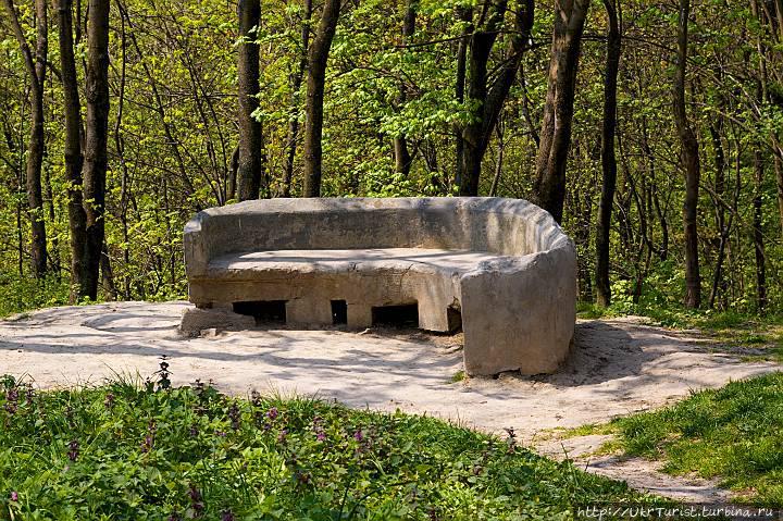 Одинокая скамейка в парке — местные утверждают, что на ней рисовал в 1846 ли 1848 г. Тарас Шевченко Вишневец, Украина