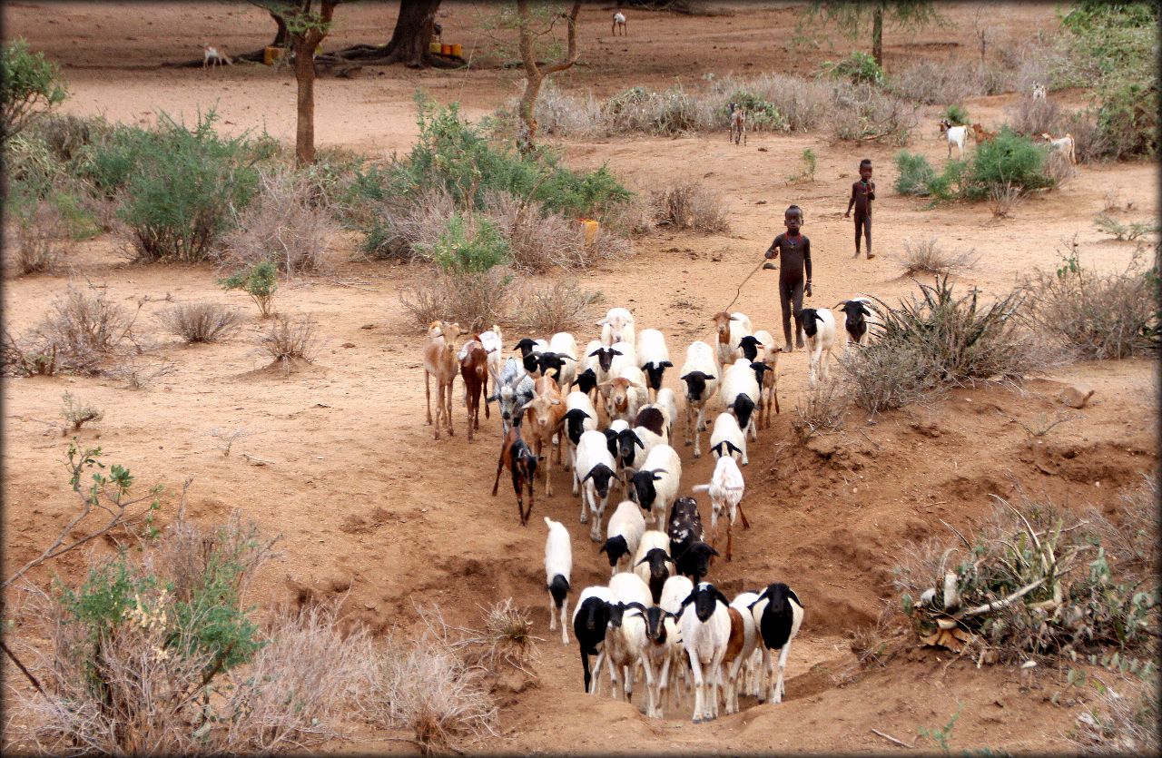 Южная Эфиопия — деревня племени Хамер Нижняя долина реки Омо, Эфиопия