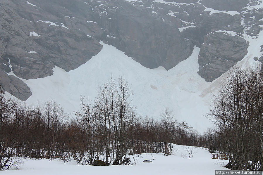 Ледник Buerbreen Западная Норвегия, Норвегия